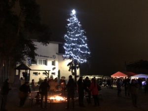 Mikulášská nadílka s rozsvícením vánočního stromu se povedla