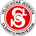 TJ Sokol Olšany