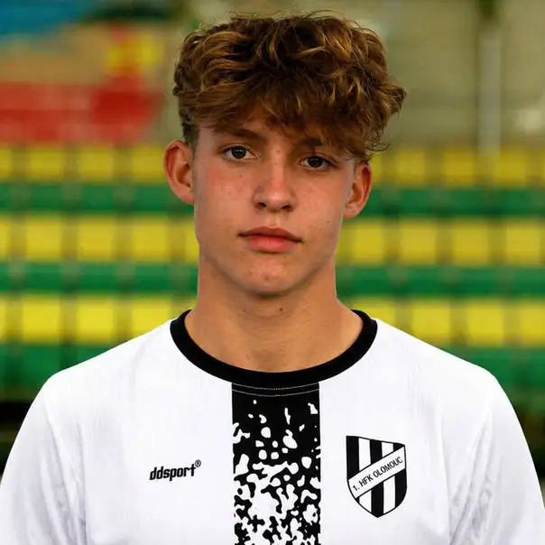 Michal Schlehr