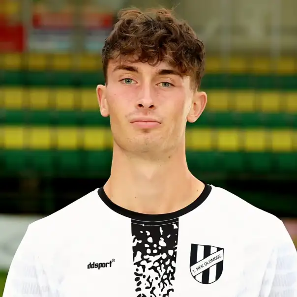 Dominik Hladík